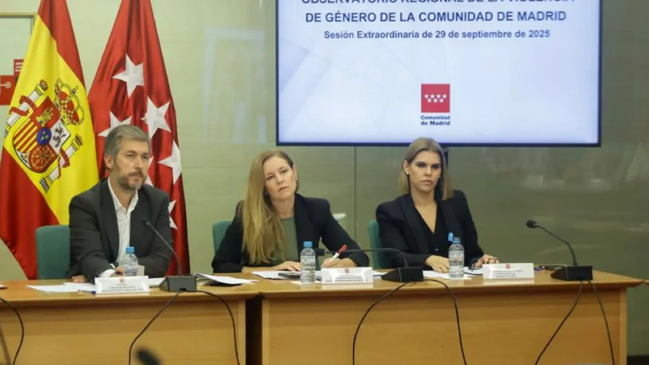 El Observatorio Regional de la Violencia de G&eacute;nero se re&uacute;ne para discutir fallos en pulseras antimaltrato.