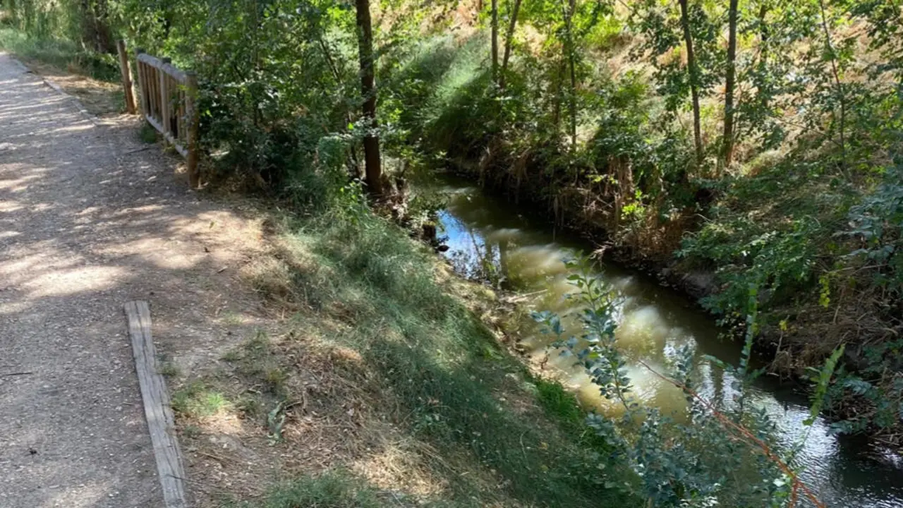 El Arroyo Camarmilla en Alcal&aacute; de Henares muestra la importancia del cuidado ambiental.