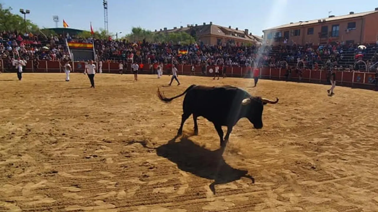 Mejorada del Campo celebra las Fiestas del Pilar con encierros y actividades locales. Un evento lleno de tradici&oacute;n y diversi&oacute;n.