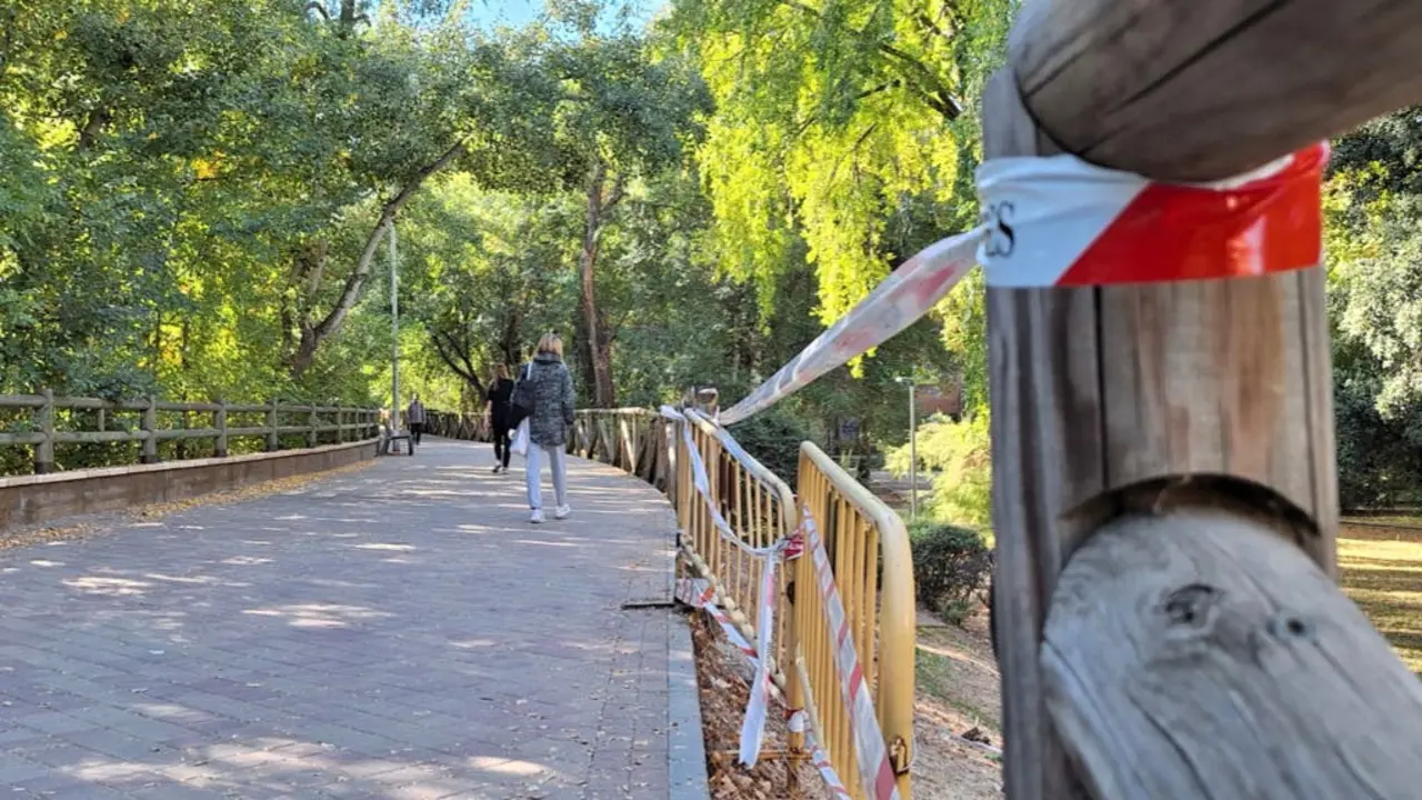 El paseo del r&iacute;o Henares en Nueva Alcal&aacute; ser&aacute; renovado. La obra comenzar&aacute; pronto.