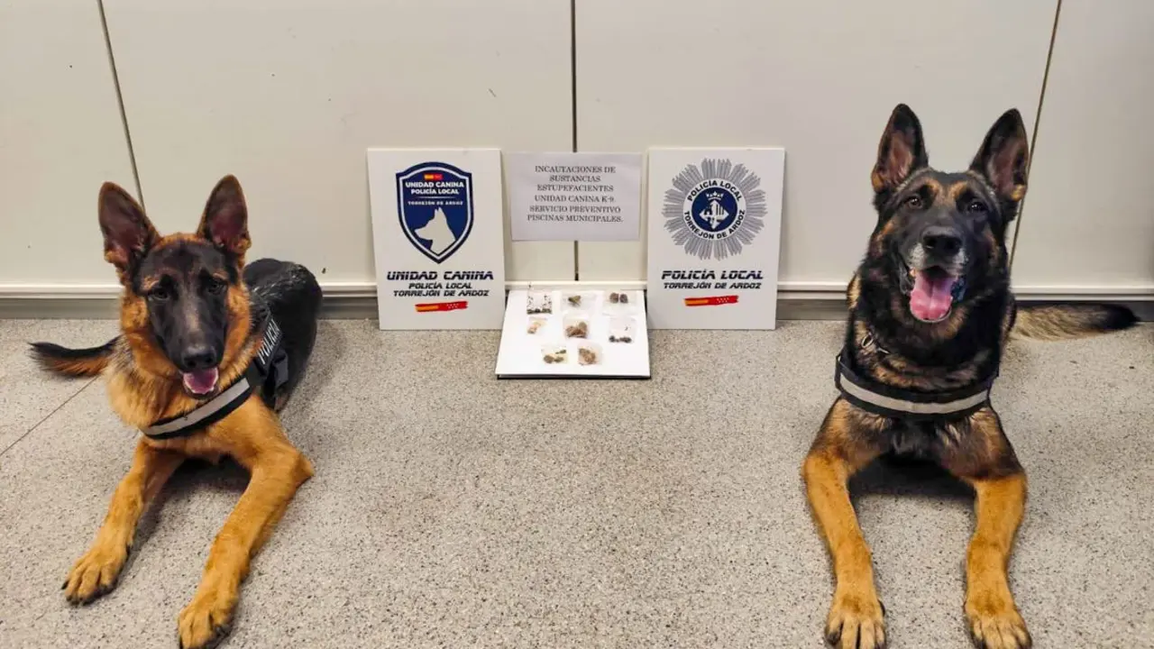 La unidad canina de la polic&iacute;a de Torrej&oacute;n realiz&oacute; 13 incautaciones de droga este verano.