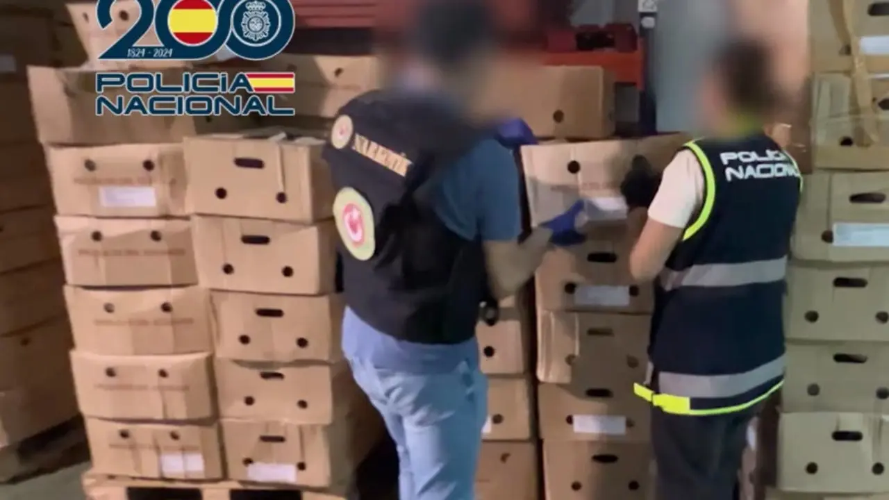 La Polic&iacute;a Nacional desmantela una red que ocultaba coca&iacute;na en Madrid.