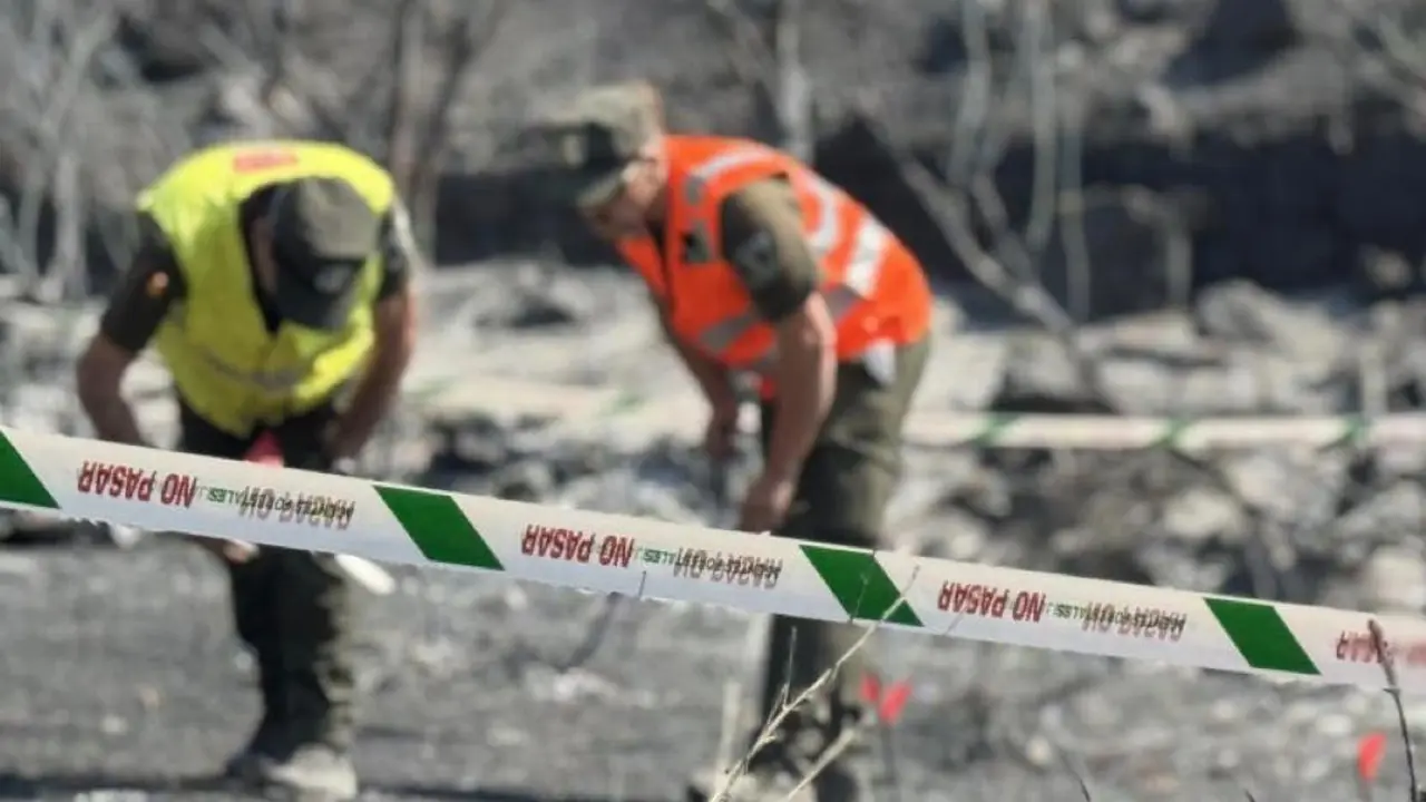 Agentes forestales trabajan en la investigaci&oacute;n de incendios en la Comunidad de Madrid. Se han identificado 21 autores.