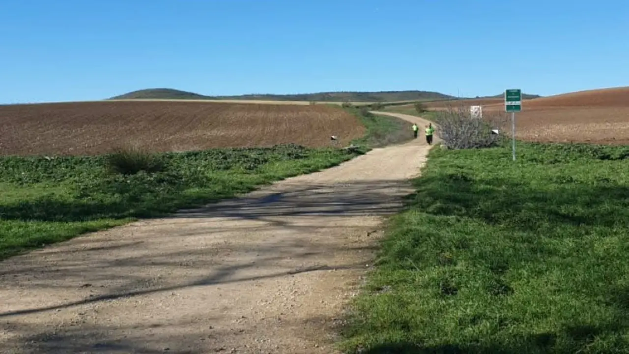 Valdeavero se destaca por su actividad f&iacute;sica en la Liga Act&iacute;vate.