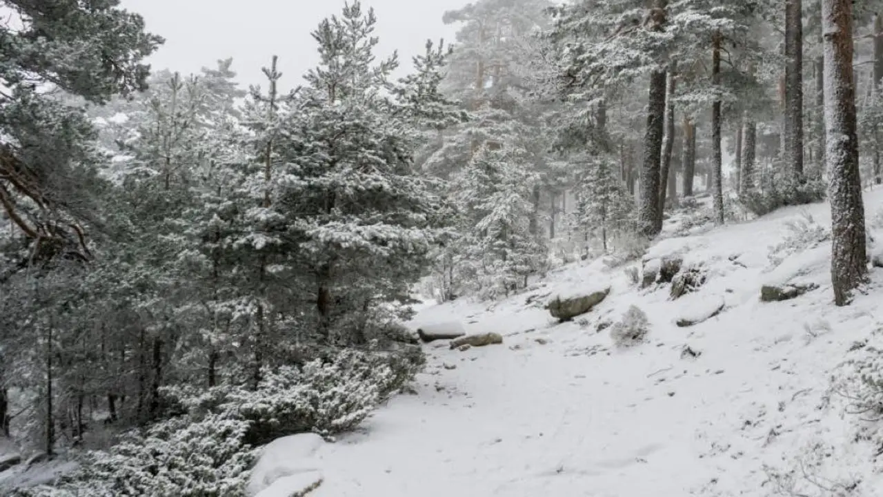 La Sierra de Madrid se cubre de nieve, creando un paisaje invernal impresionante.