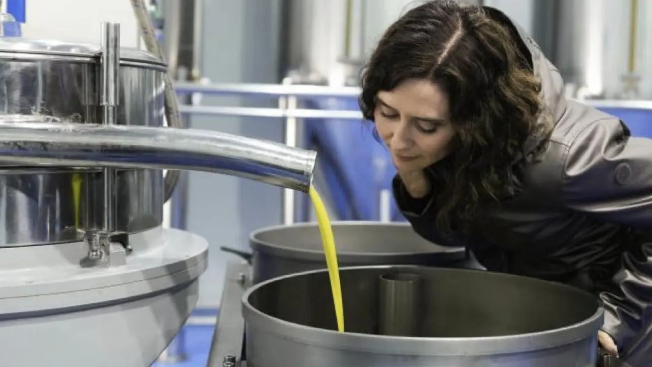 La presidenta Ayuso destaca el impulso del olivar madrile&ntilde;o en Villaconejos.