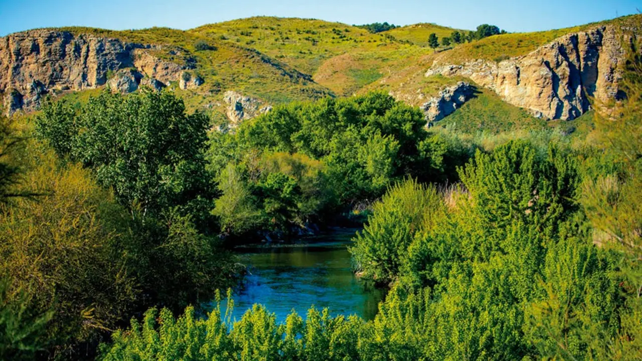 El r&iacute;o Manzanares ofrece un paisaje natural en Rivas. Se lanzan recomendaciones ante un foco de gripe aviar.