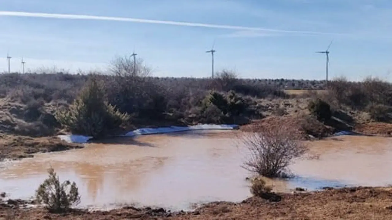 Ecologistas alertan sobre el impacto de macrogranjas en Maranch&oacute;n, Guadalajara.