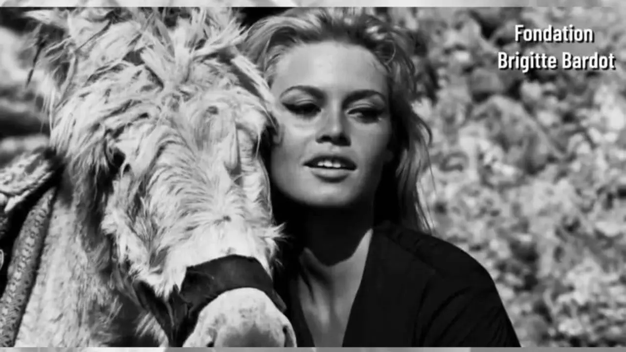 Brigitte Bardot, famosa actriz y cantante, ha fallecido a los 91 a&ntilde;os.