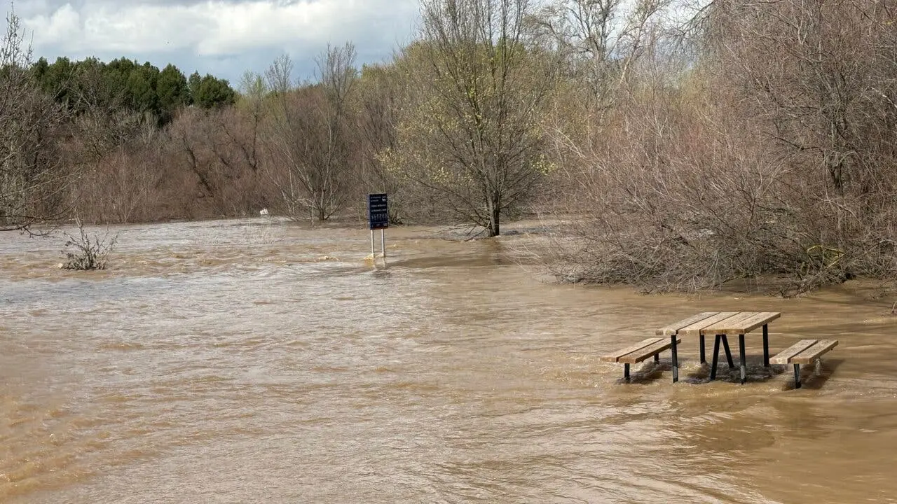 El r&iacute;o Henares desbordado en Mejorada del Campo, afectando el entorno natural.