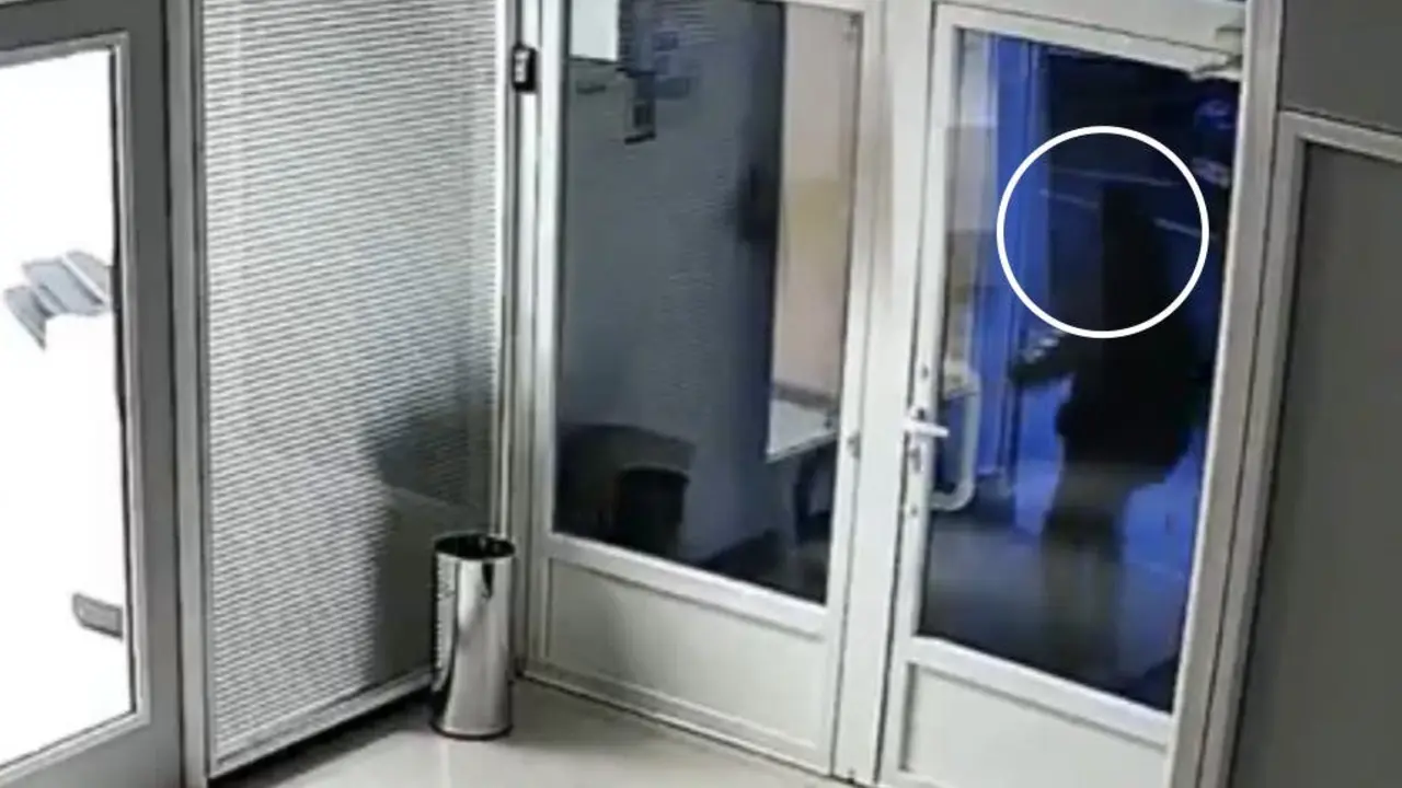 Dos individuos agredieron la sede del PSOE en Guadalajara. Las c&aacute;maras de seguridad registraron el ataque.