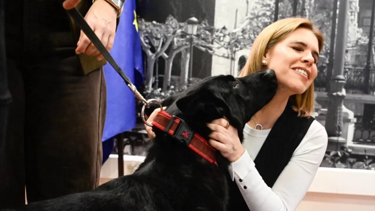 La nueva Unidad Canina de la Polic&iacute;a Local de Alcal&aacute; de Henares se presenta oficialmente.