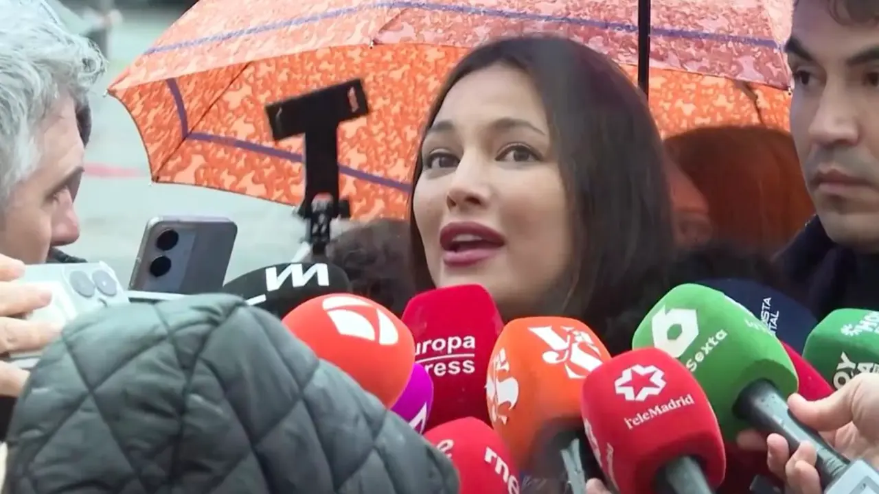 La actriz Elisa Moulia&aacute; atiende a los medios de comunicaci&oacute;n frente a los Juzgados de Plaza de Castilla de Madrid. REDES SOCIALES