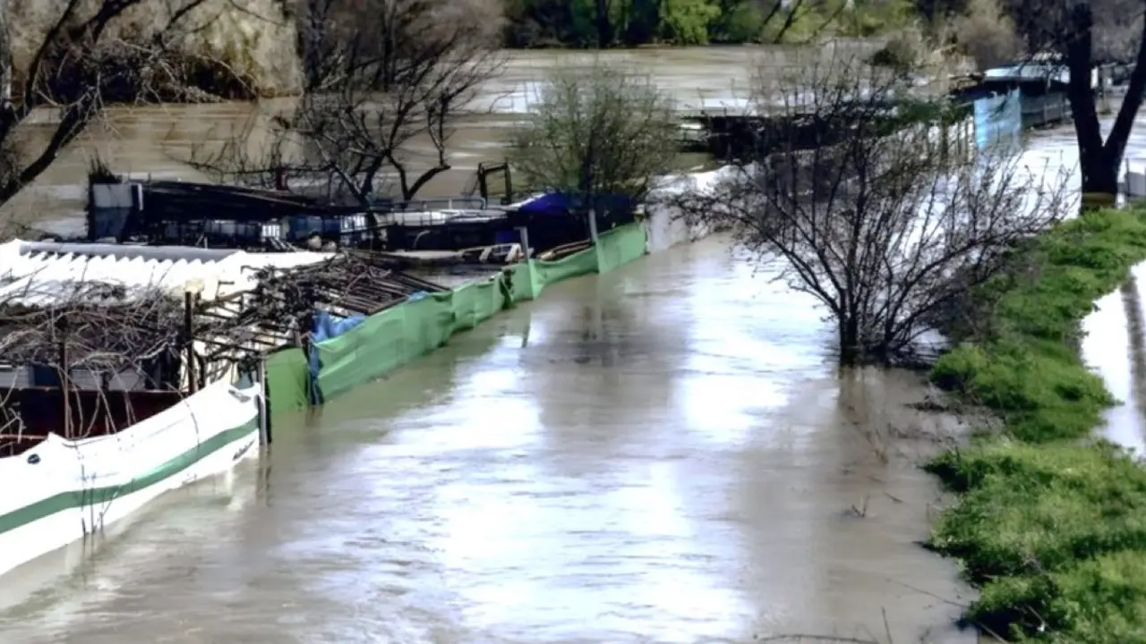 Imagen de los chamizos inundados por la crecida del r&iacute;o Jarama a su paso por San Fernando de Henares. PLATAFORMA ECOLOGISTA MADRILE&Ntilde;A