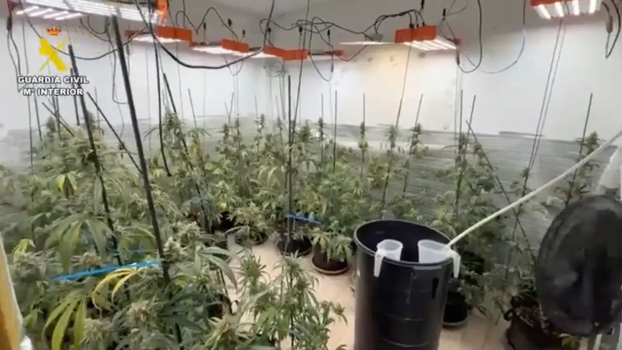 Una de las plantaciones de marihuana indoor desmanteladas por la Guardia Civil en la Vega de Chinch&oacute;n. GUARDIA CIVIL