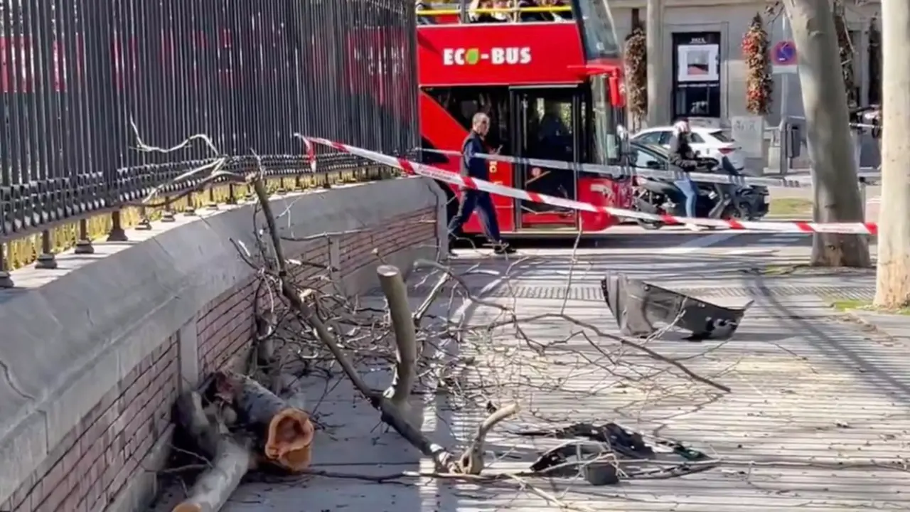 Restos del accidente junto a la valla del Retiro tras el choque en la Puerta de Alcal&aacute;. EMERGENCIAS MADRID