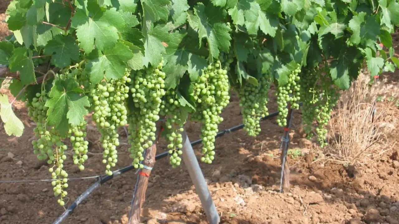 Imagen de archivo. COMUNIDAD DE MADRID