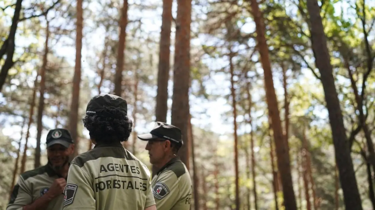 Imagen de archivo de Agentes Forestales de la Comunidad de Madrid. COMUNIDAD DE MADRID