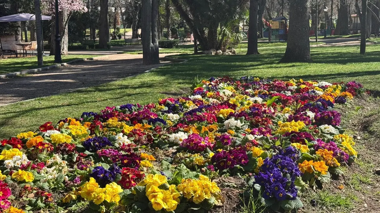 AYUNTAMIENTO DE GUADALAJARA
