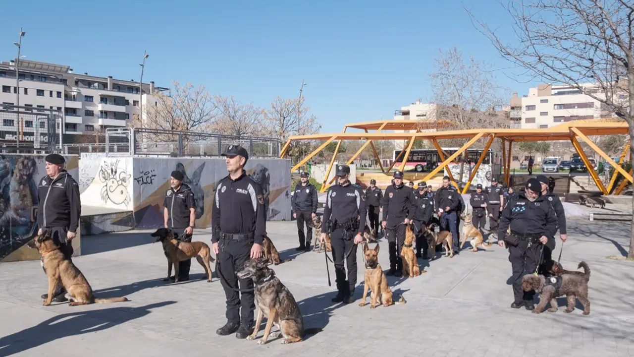 Unidades caninas de distintos puntos de Espa&ntilde;a durante las jornadas celebradas en Azuqueca de Henares. AYUNTAMIENTO DE AZUQUECA