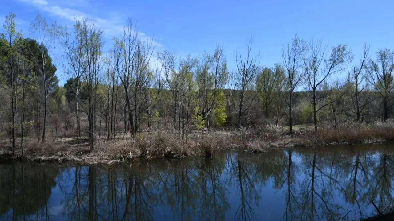 Laguna del paraje natural de Las Islillas Norte en Mejorada del Campo. AYUNTAMIENTO DE MEJORADA DEL CAMPO