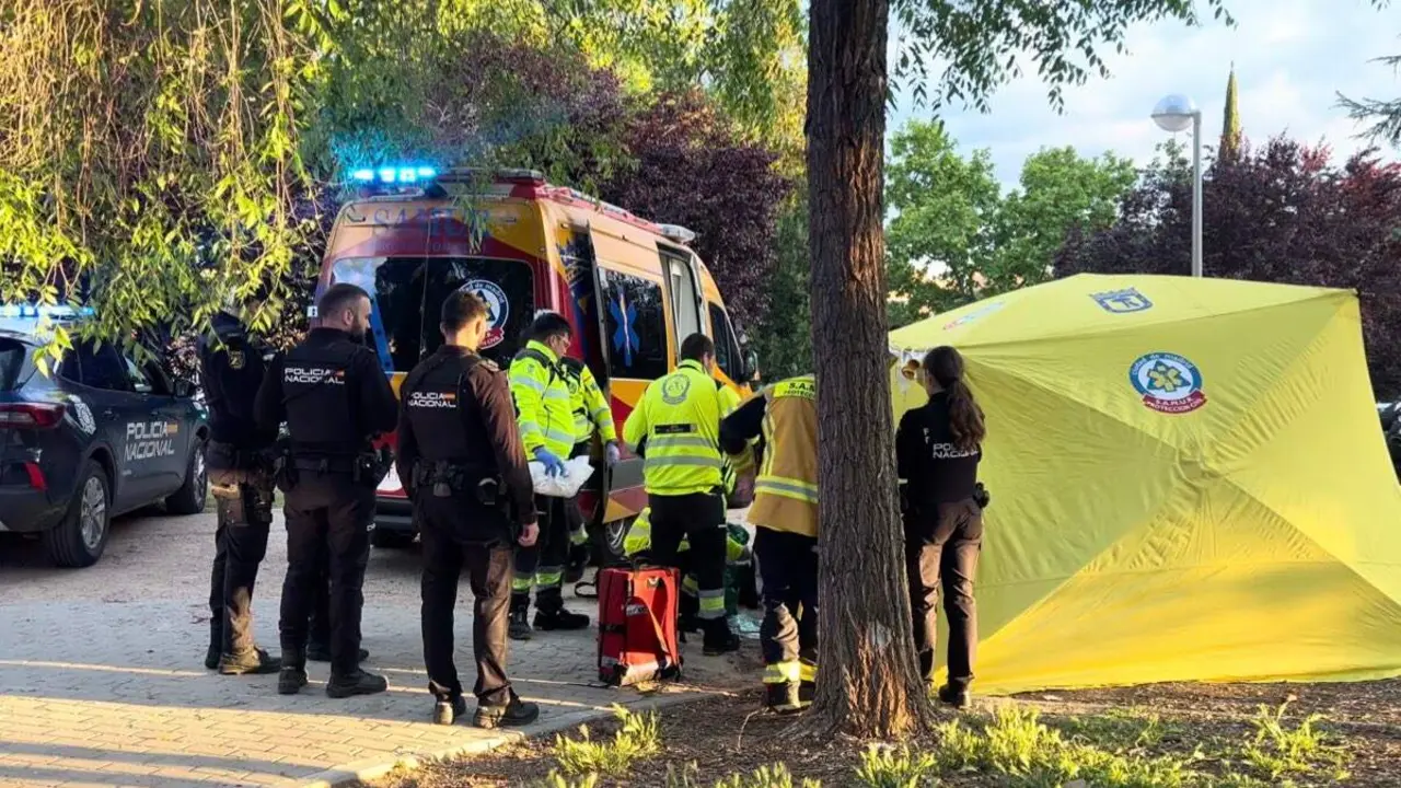 Intervenci&oacute;n de los sanitarios del SAMUR tras la agresi&oacute;n en el parque El Para&iacute;so. EMERGENCIAS MADRID