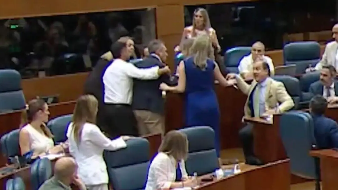 Diputados intervienen durante el incidente protagonizado por Fernando Fern&aacute;ndez Lara en la Asamblea de Madrid. ASAMBLEA DE MADRID