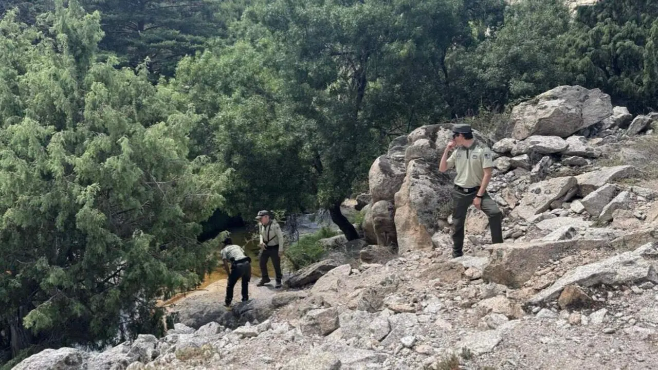 Agentes forestales durante las labores de vigilancia en zonas protegidas de la Sierra de Guadarrama. COMUNIDAD DE MADRID
