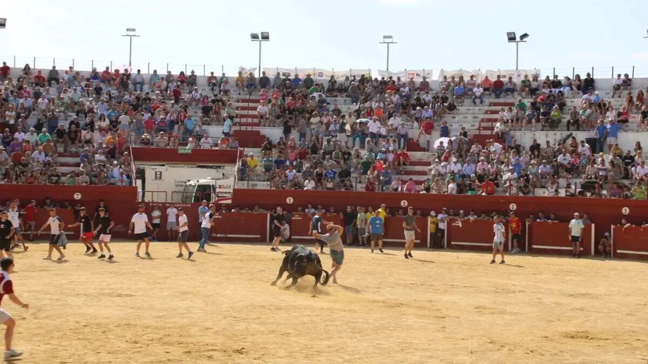 Capea en una edici&oacute;n anterior de las Fiestas del Agua. AYTO. DE TORRES DE LA ALAMEDA