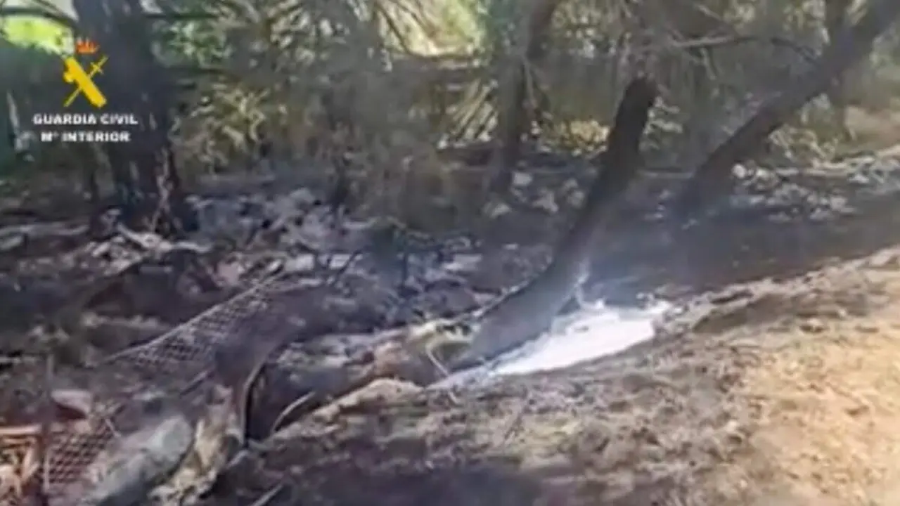 Zona afectada por el incendio provocado con una bengala en Torrelodones. GUARDIA CIVIL