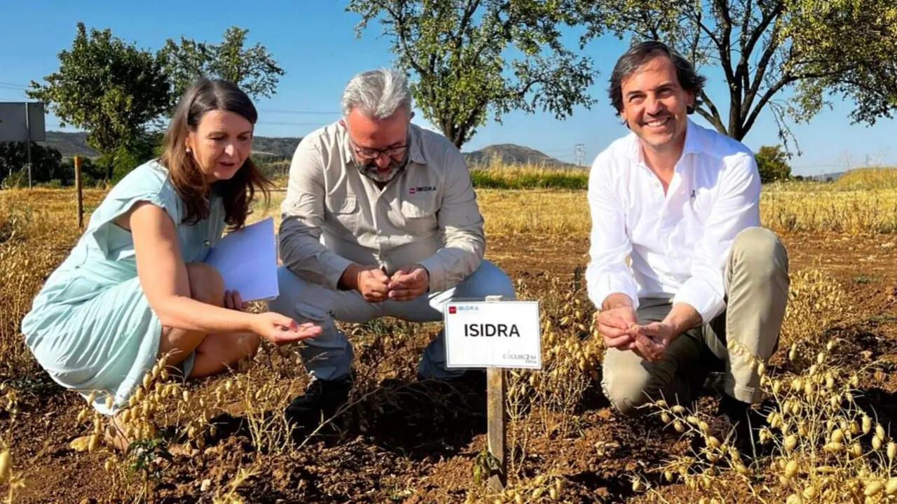 Presentaci&oacute;n de Isidra, la nueva variedad de garbanzo desarrollada por el IMIDRA en la finca experimental El Enc&iacute;n de Alcal&aacute; de Henares. COMUNIDAD DE MADRID.