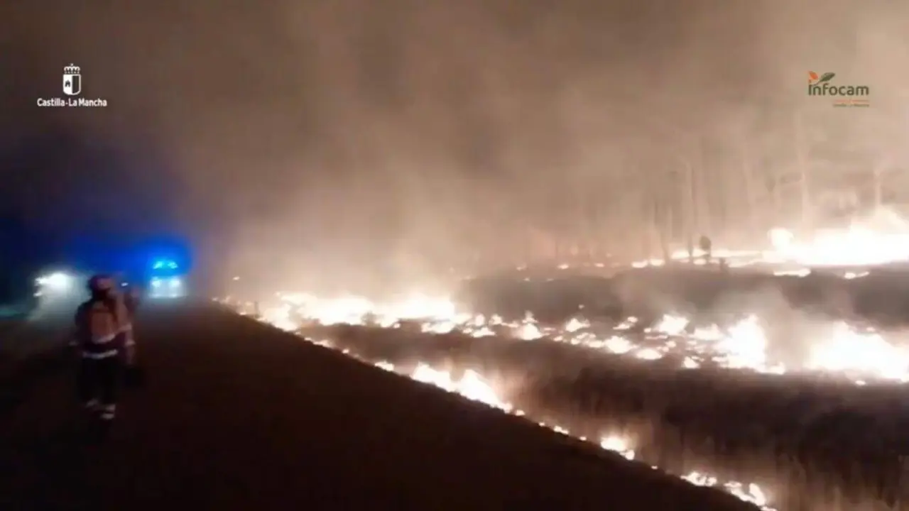 El incendio de La Mierla (Guadalajara), durante la pasada noche. INFOCAM