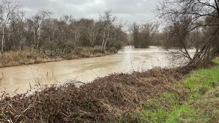 El r&iacute;o Henares a su paso por Alcal&aacute;. AYTO. DE ALCAL&Aacute;.
