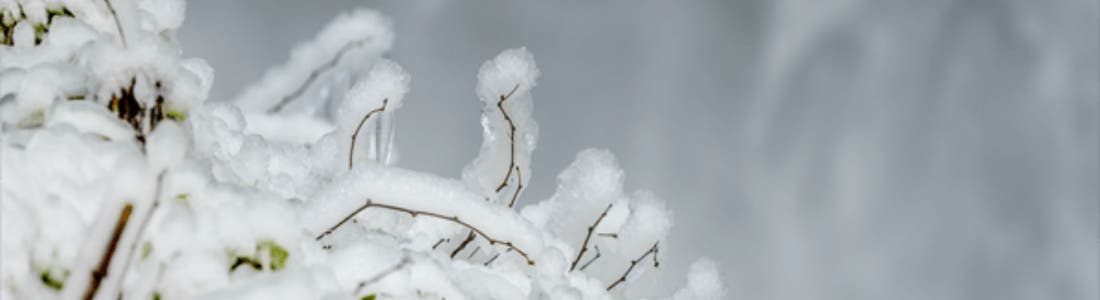 nieve-sierra-madrid-3