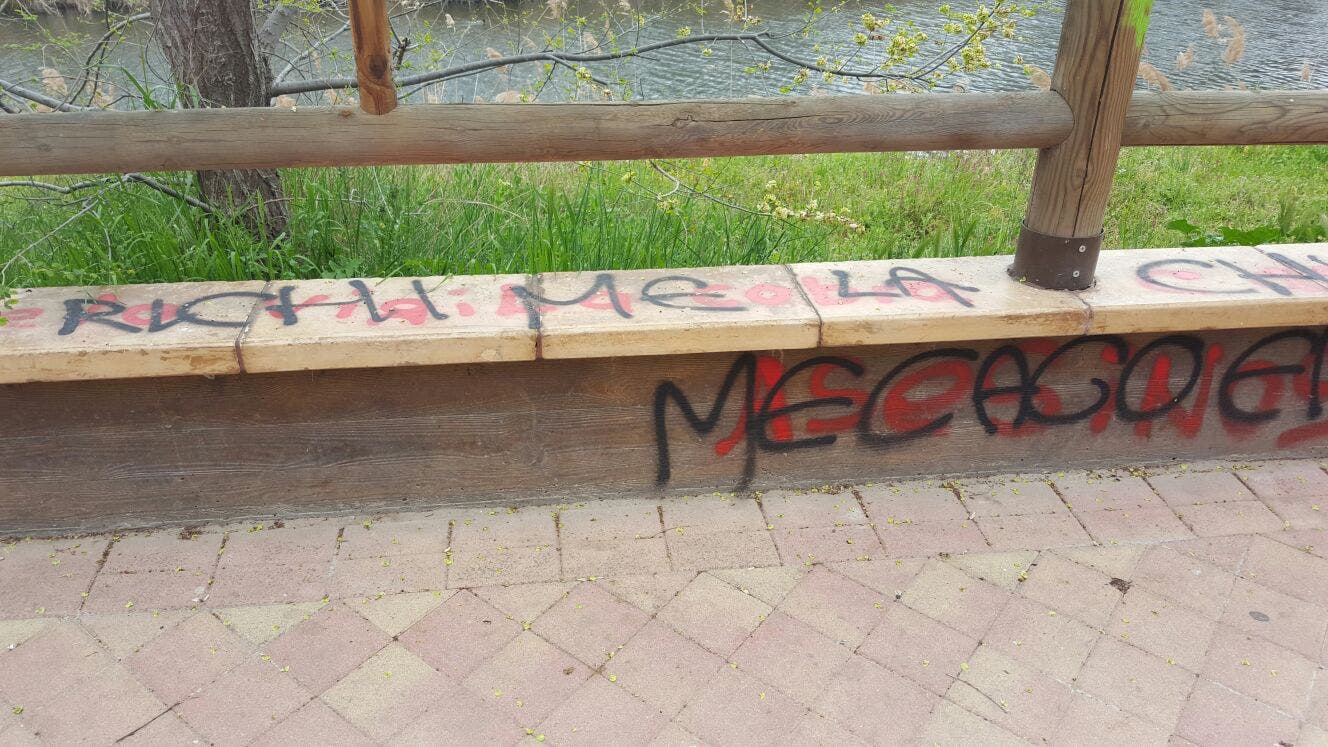 13002555_963276417091522_4797031414648596604_o