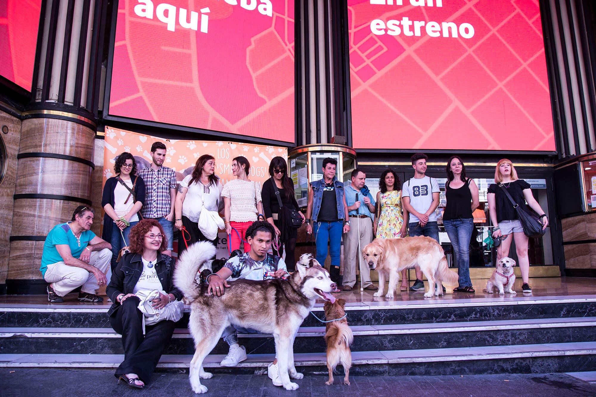 smart-dog-cine-capitol-perros-4