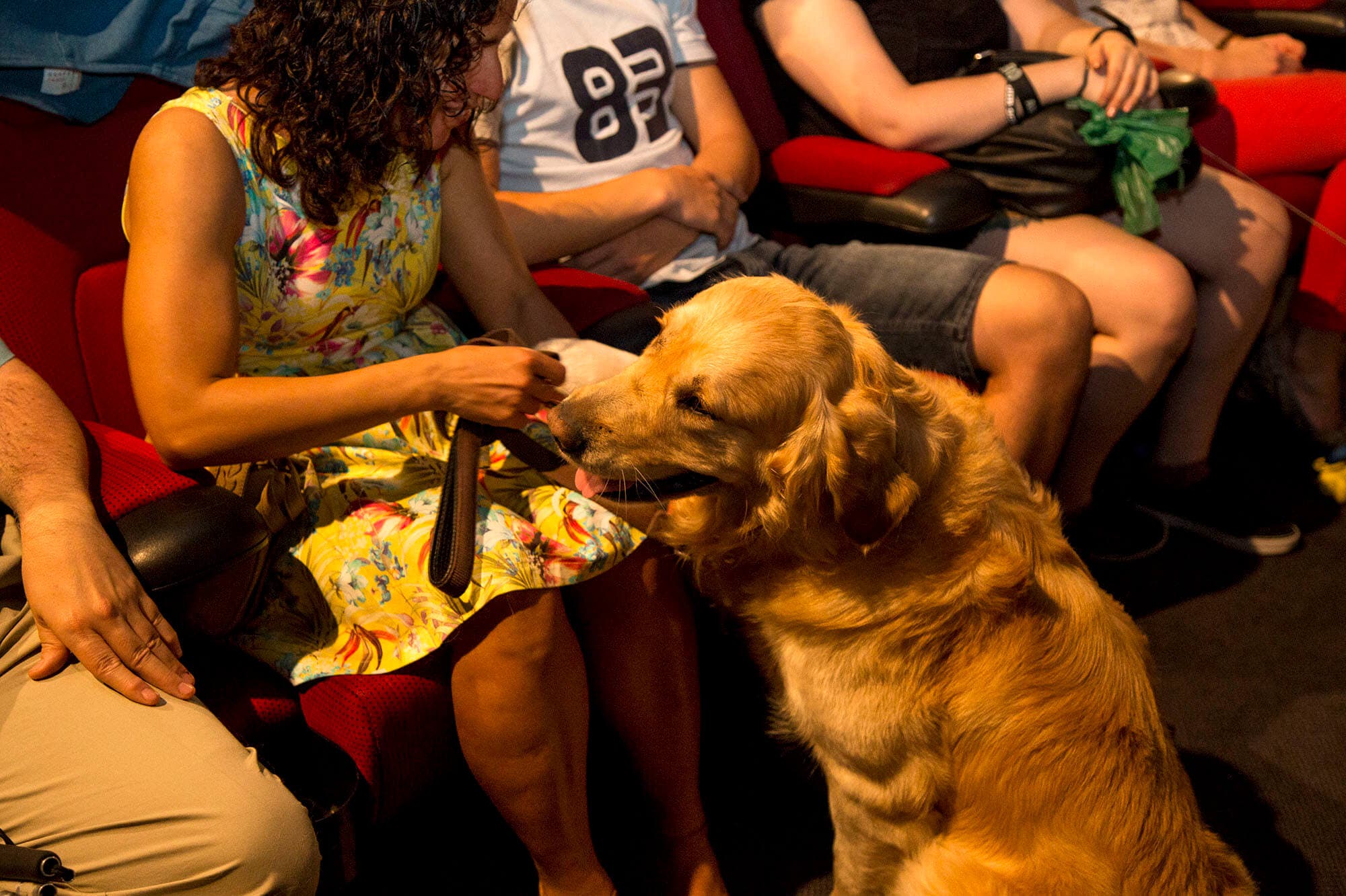 smart-dog-cine-capitol-perros-8