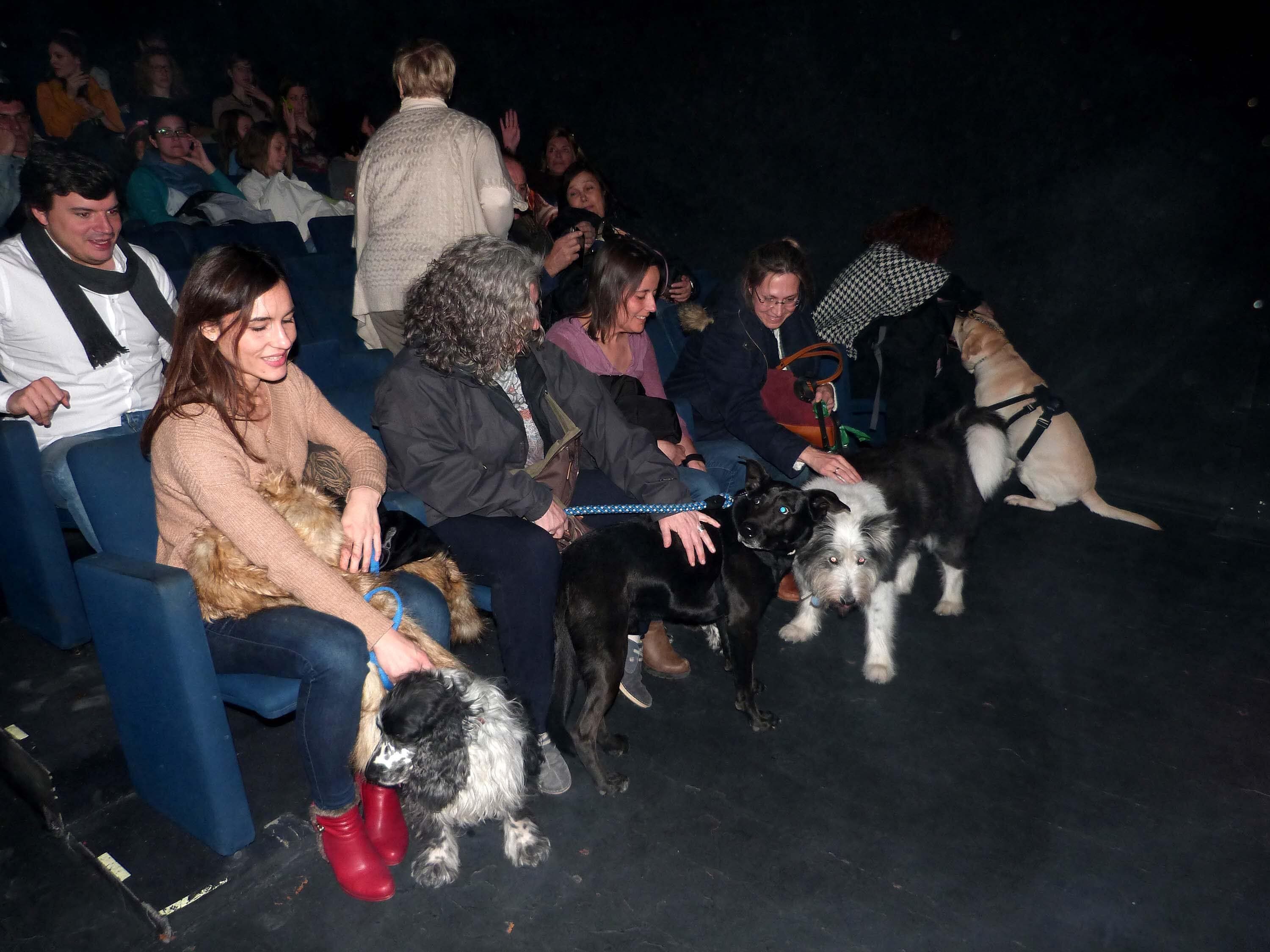 teatro-con-perros-p