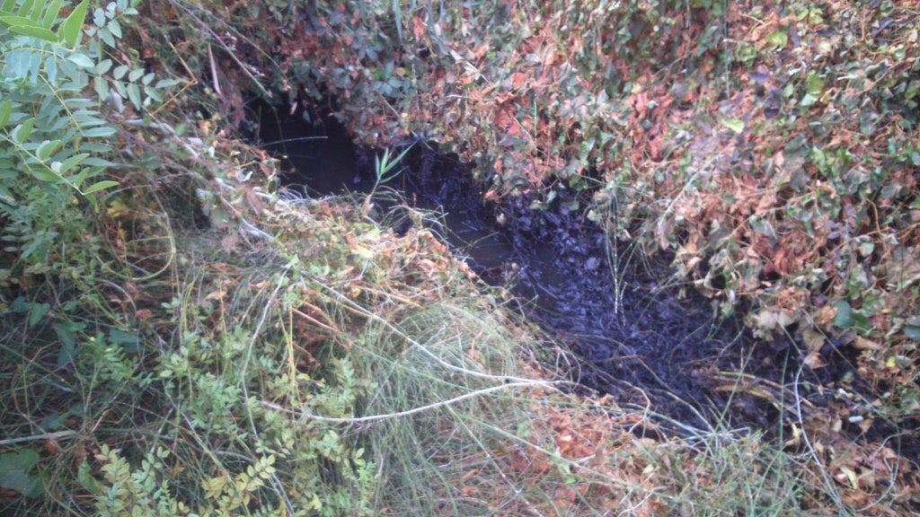 Imagen facilitada por Equo CLM a MiraCorredor.tv en la que se aprecia el chapapote que ellos denuncian 