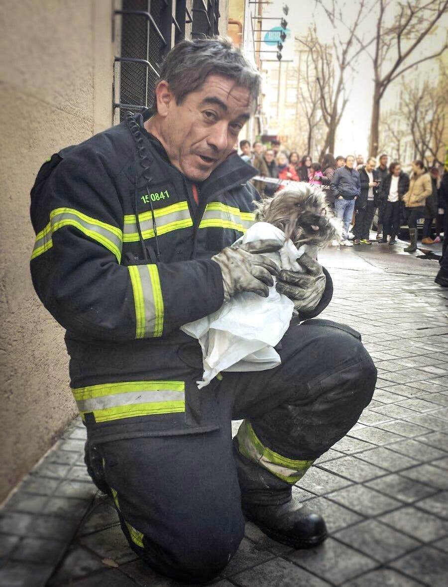 Uno de los Bomberos posa con Lucky ya sano y salvo.
