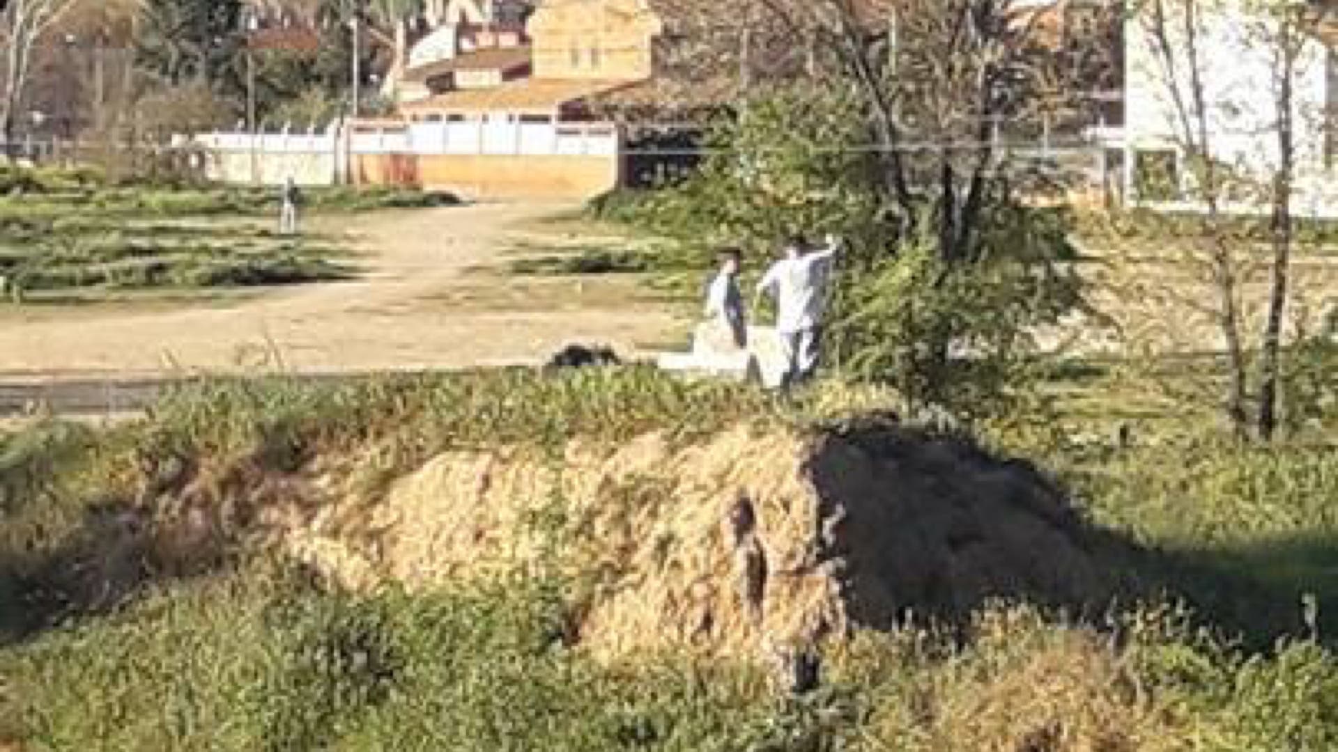 Unos niños jugando en el mismo lugar donde ocurrieron los hechos (Cedida).