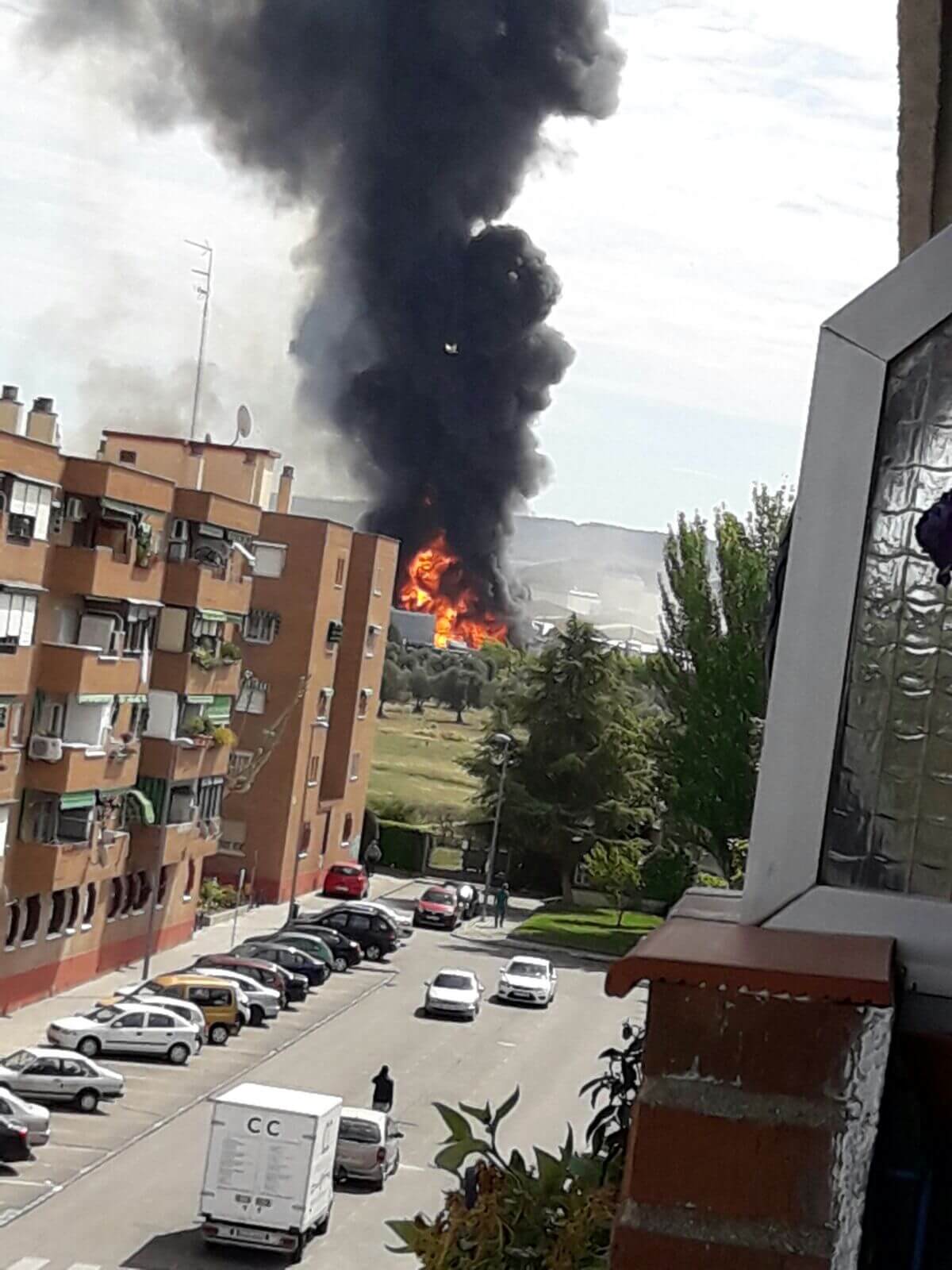 WhatsApp Image 2017-05-04 at 13.13.08