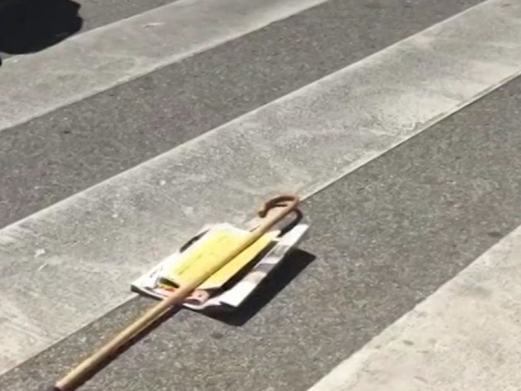 Su bastón en el suelo (112).