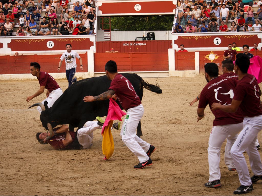 El momento de la cogida (Juan Carlos Bejerano Pardo).