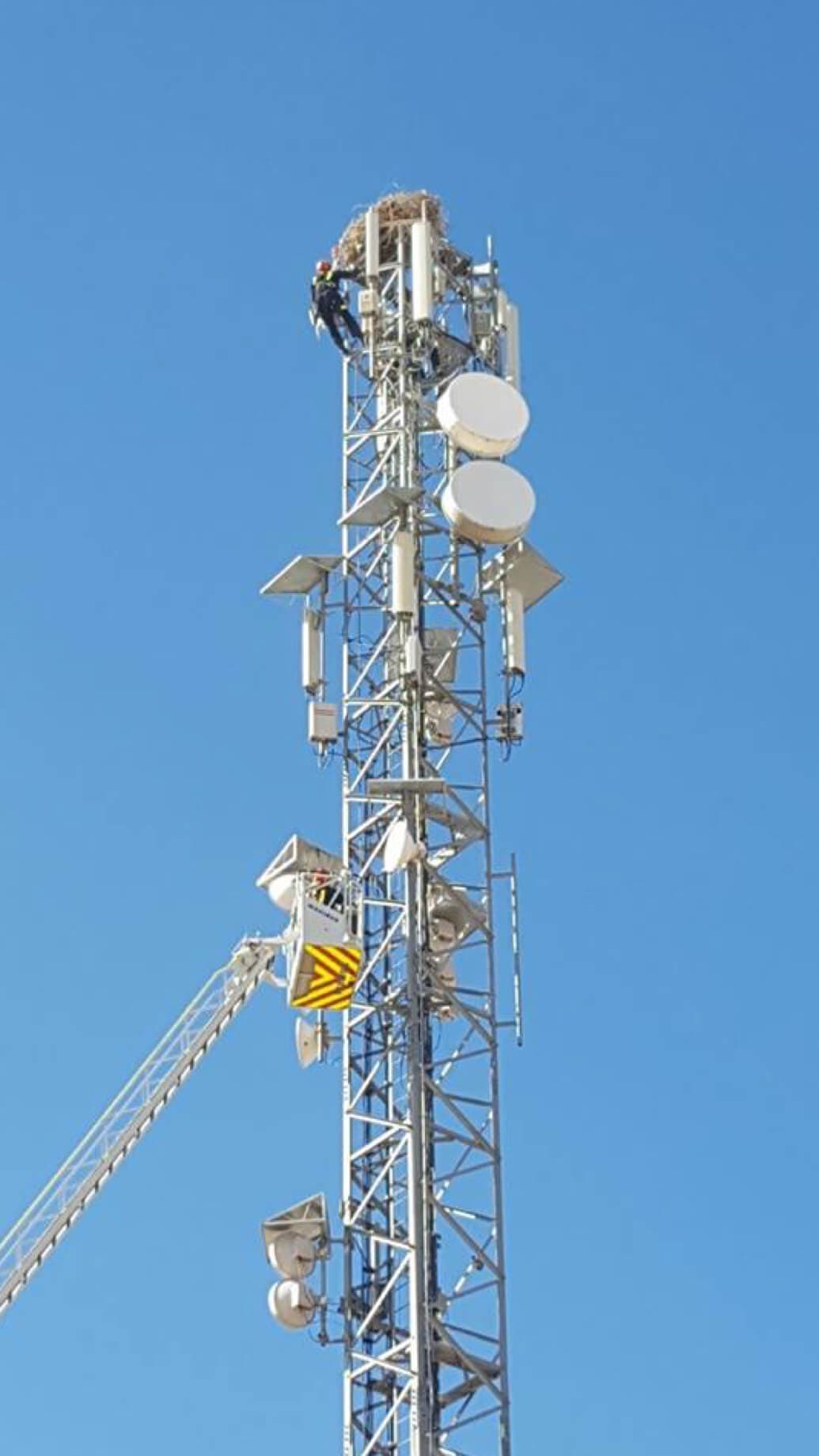 Imagen compartida por la Policía Local. 