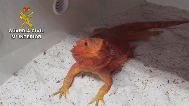 fotonoticia_20170922133529_640