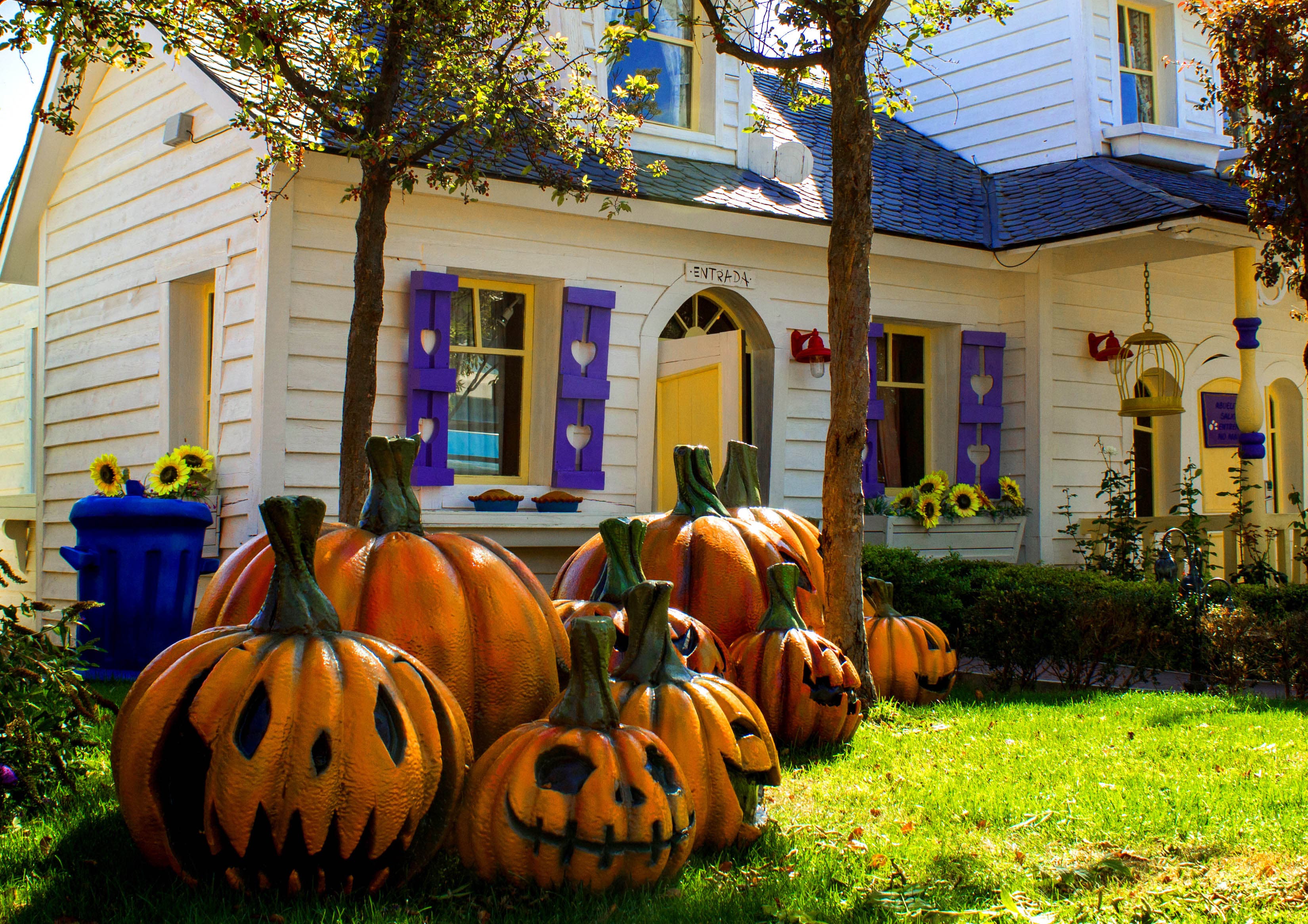 Parque Warner - Halloween - Decoración2
