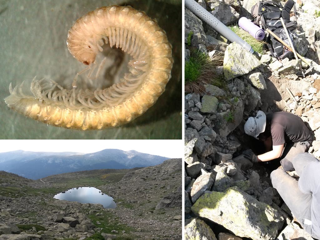 Imágenes de la Universidad de Alcalá.