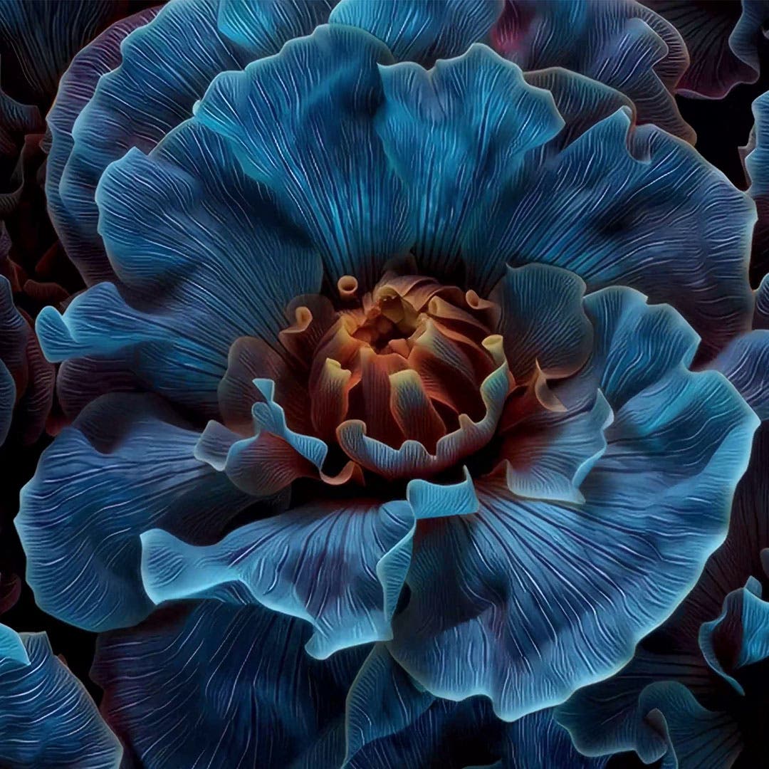 Exposición digital de arte y naturaleza en Oasiz Madrid.