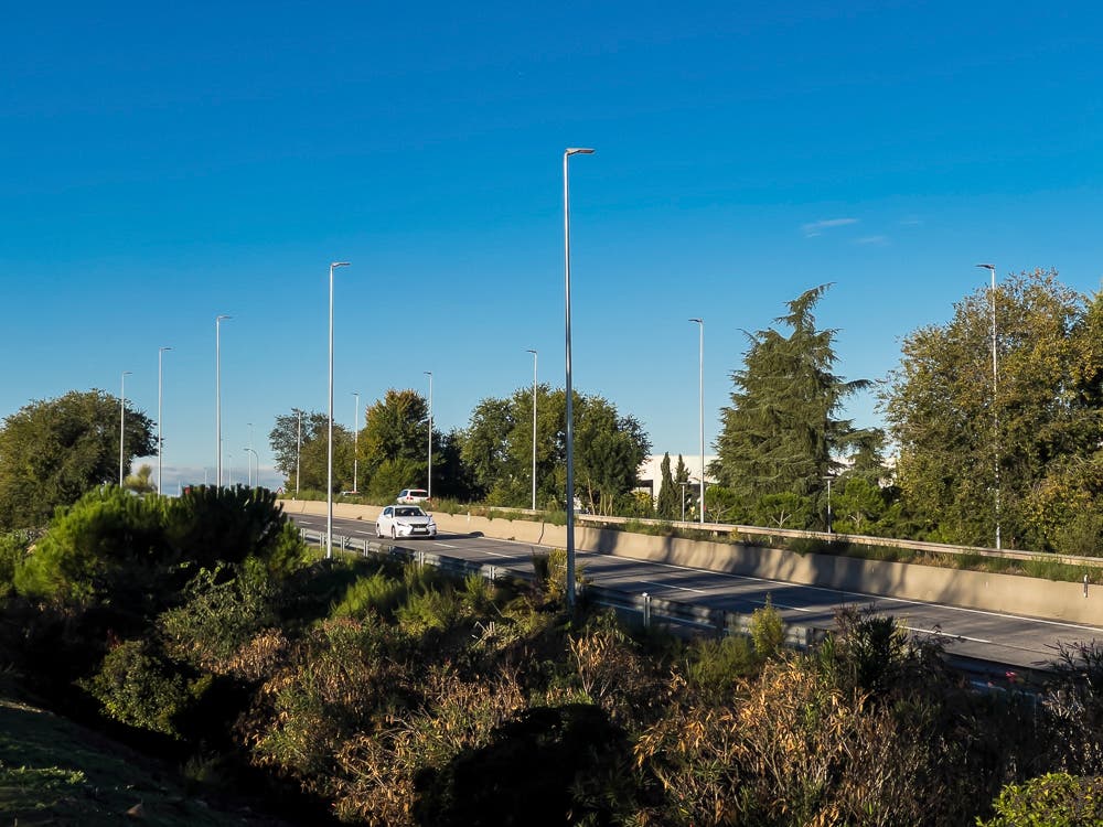 Vista de la M-206 con farolas y vegetación en Torrejón de Ardoz